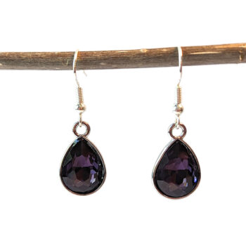 February Birthstone Purple Rhinestone Teardrop Earrings