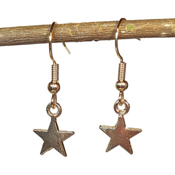 Small Star KC Gold Earrings