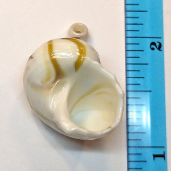 Cream Brown Marble Wide Tulip Shell Pendant - Image 2