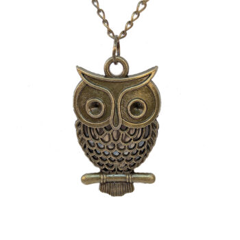 Hollow Owl on a Branch Antique Bronze Necklace