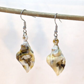 Acrylic Cream Brown Marble Twisted Tulip Shell Earrings