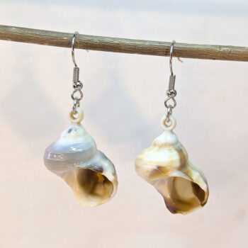 Acrylic Cream Brown Marble Wide Tulip Shell Earrings