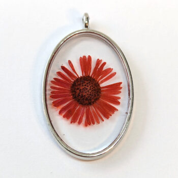 Oval Real Dried Red Daisy Flower Resin Pendant