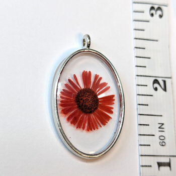 Oval Real Dried Red Daisy Flower Resin Pendant - Image 2