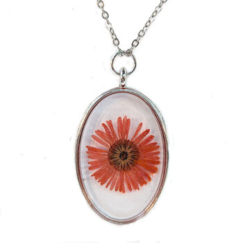 Oval Real Dried Red Daisy Flower Resin Necklace