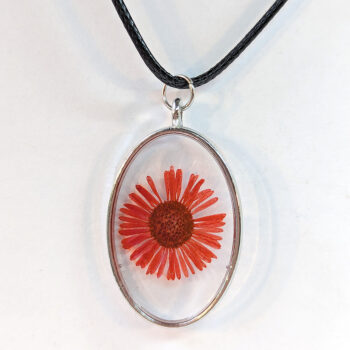 Oval Real Dried Red Daisy Flower Resin Necklace - Image 2