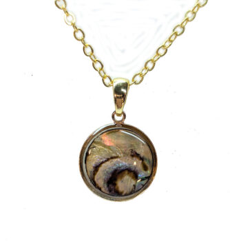 Gold Small Round Abalone Resin Shell Stainless Steel Necklace