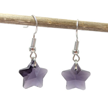 Small Purple Glass Rhinestone Star Silver Earrings