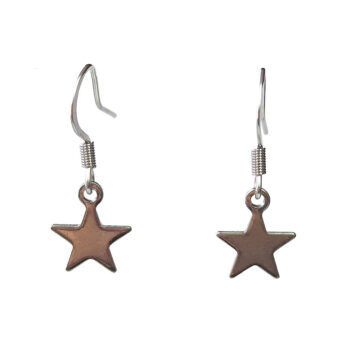 Stainless Steel Delicate Solid Star Silver Earrings