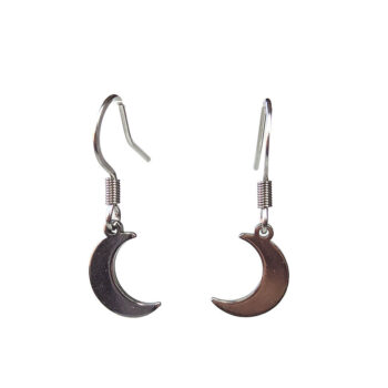 Stainless Steel Delicate Solid Moon Silver Earrings