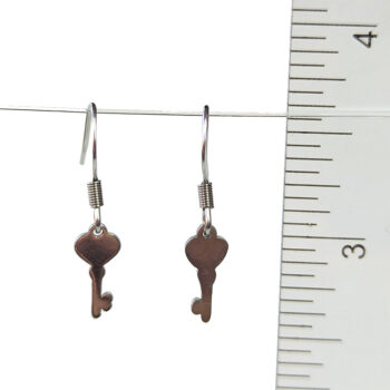 Stainless Steel Delicate Solid Key Silver Earrings - Image 2