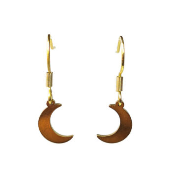 Stainless Steel Delicate Solid Moon Gold Earrings