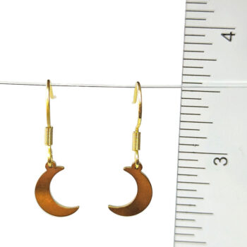 Stainless Steel Delicate Solid Moon Gold Earrings - Image 2