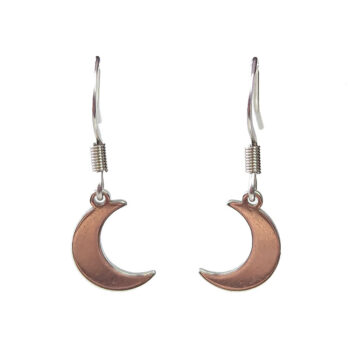 Stainless Steel Delicate Solid Moon Silver Earrings - Image 5