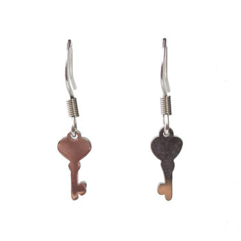 Stainless Steel Delicate Solid Key Silver Earrings - Image 4