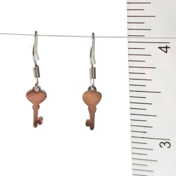 Stainless Steel Delicate Solid Key Silver Earrings - Image 5