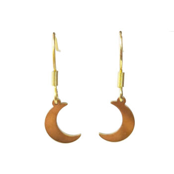 Stainless Steel Delicate Solid Moon Gold Earrings - Image 5