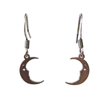 Stainless Steel Delicate Moon with Face Silver Earrings