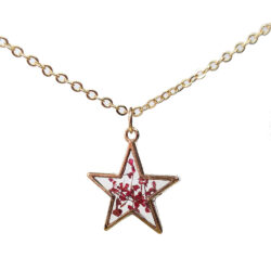 Gold Star Colorful Real Dried Small Flowers Resin Necklace