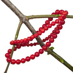Red Coral Beads Stretch Bracelet