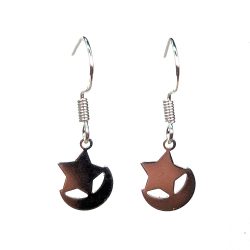 Sterling Silver Plated Star Moon Earrings