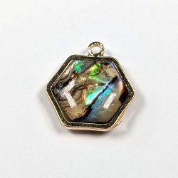 Gold Abalone Shell Hexagon Abalone Charm