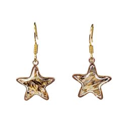 Gold Star Abalone Resin Shell Stainless Steel Earrings