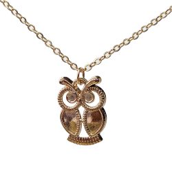 KC Gold Cute Hollow Small Owl Necklace