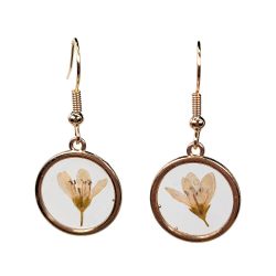 Real Dried White Flower Resin Round Earrings Gold