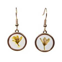 Real Dried Yellow Flower Resin Round Earrings Gold