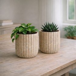 Concrete Succulent Plant Rounded Ribbed Pot Jar Potter Candle Holder