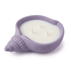 Eco Resin Stone Seashell Conche Soy Coconut Essential Oil Tri Wick Candle Holder