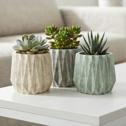 Concrete Succulent Plant Diamonds Pot Jar Potter Candle Holder