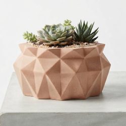 Concrete Succulent Plant Decorative Pot Jar Potter Candle Holder