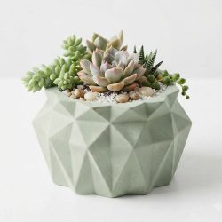 Eco Resin Succulent Plant Decorative Pot Jar Potter Candle Holder
