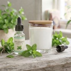 Spearmint Candles